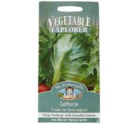 Mr Fothergill's 22155 Vegetable Seeds, Lettuce Frisee de Beauregard