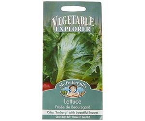 Mr Fothergill's 22155 Vegetable Seeds, Lettuce Frisee de Beauregard