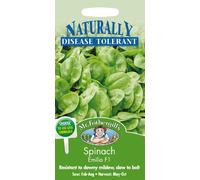 Mr Fothergill's 24057 Vegetable Seeds, Spinach Emilia F1