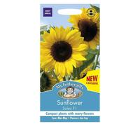 Mr Fothergills Bright Colour Sunflower Seeds Soleo F1
