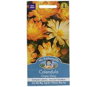 Mr. Fothergill's Calendula Oopsy Daisy Flower Seeds
