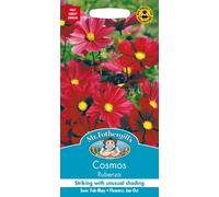 Mr. Fothergill's Cosmos Rubenza Seeds