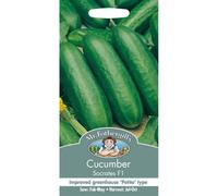 Mr. Fothergills Cucumber Socrates F1 Seeds