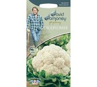Mr Fothergills David Domoney Cauliflower, All Year Round, 200s