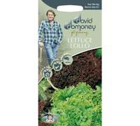 Mr.Fothergill's David Domoney Easy Grow Lettuce Lollo Mixed Seeds Pkt