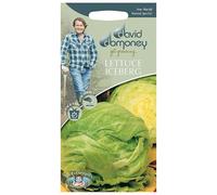 Mr.Fothergill's David Domoney Lettuce Iceberg Balmoral Seeds PKT