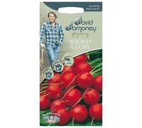 Mr.Fothergill's David Domoney Radish Globe Lucia F1 Seeds PKT