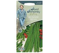 Mr.Fothergill's David Domoney Runner Bean Galaxy Seeds PKT