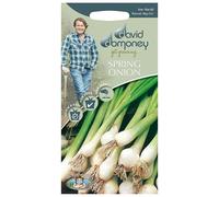 Mr.Fothergill's David Domoney Spring Onion White Lisbon Seeds PKT