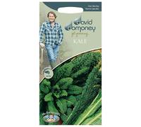 Mr.Fothergill's David Domoney Vegetable Kale Black Tuscany Seeds PKT