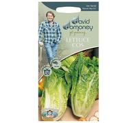 Mr.Fothergill's David Domoney Vegetable Lettuce Cos Tantan Seeds PKT