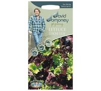 Mr.Fothergill's David Domoney Vegetable Lettuce Loose Leaf Seeds PKT