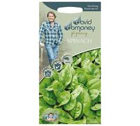 Mr.Fothergill's David Domoney Vegetable Spinach Emilia F1 Seeds PKT