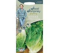 Mr.Fothergill's David Domoney Vegetables Lettuce Little Gem Seeds Pkt