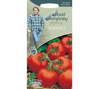 Mr.Fothergill's David Domoney Vegetables Tomato Shirley F1 Seeds Pkt