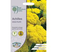 Mr Fothergills - Flower - RHS Achillea Gold Plate - 500 Seeds