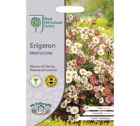 Mr Fothergills - Flower - RHS Erigeron Profusion - 250 Seeds