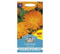 Mr Fothergills Flower Seeds Calendula Funky Stuff Pot Marigold Orange