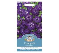 Mr Fothergills Flower Seeds Candytuft Purple Rain Easy Grow