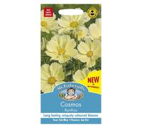 Mr Fothergills Flower Seeds Yellow Cosmos Xanthos