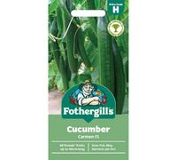 Mr Fothergills Fothergills Premium Cucumber Seeds - Carmen F1
