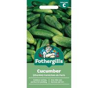 Mr Fothergills Fothergills Premium Cucumber Seeds - (Gherkin) Cornichon De Paris