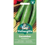 Mr Fothergills Fothergills Premium Cucumber Seeds - Passandra F1