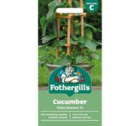 Mr Fothergills Fothergills Premium Cucumber Seeds - Patio Snacker F1
