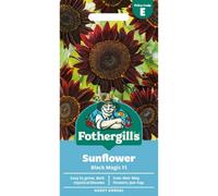 Mr Fothergills Fothergills Premium Sunflower Seeds - Black Magic