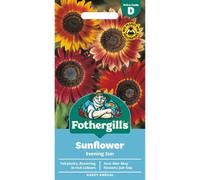 Mr Fothergills Fothergills Premium Sunflower Seeds - Evening Sun