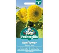 Mr Fothergills Fothergills Premium Sunflower Seeds - Gummy Bear