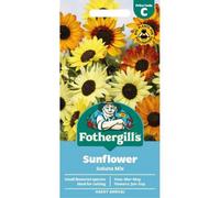 Mr Fothergills Fothergills Premium Sunflower Seeds - Soluna Mix