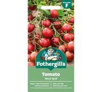 Mr Fothergills Fothergills Premium Tomato Seeds - Black Opal