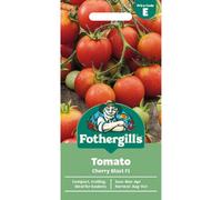 Mr Fothergills Fothergills Premium Tomato Seeds - Cherry Blast F1