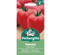 Mr Fothergills Fothergills Premium Tomato Seeds - Cuor Di Bue
