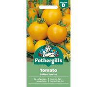 Mr Fothergills Fothergills Premium Tomato Seeds - Golden Sunrise