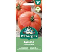 Mr Fothergills Fothergills Premium Tomato Seeds - Supersteak F1