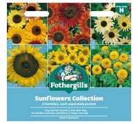 Mr Fothergills Fothergills Sunflower Seeds Collection 6Pk
