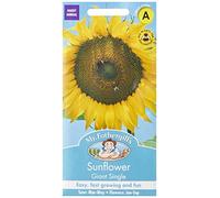 Mr Fothergill's 16054 Flower Seeds, Sunflower Giant Single