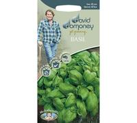 Mr Fothergills - Herb - David Domoney Basil Sweet - 650s