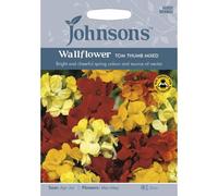 Mr Fothergills Johnsons Wallflower Tom Thumb Mixed Flower Seeds