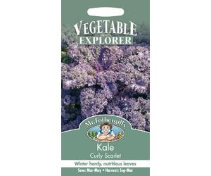 Mr. Fothergill's Kale Curly Scarlet Seeds