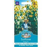 Mr Fothergills - Pictorial Packet - Flower - Sunflower Kong F1 - 20 Seeds