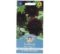 Mr. Fothergill's Magic F1 Sunflower Seed - Black