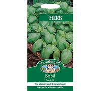 Mr Fothergills - Pictorial Packet - Herb - Basil Sweet - 650 Seeds