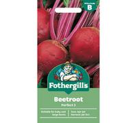 Mr Fothergills Mr. Fothergills Beetroot Seeds - Perfect 3