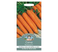 Mr Fothergills - Pictorial Packet - Vegetable - Carrot Romance F1 - 500 Seeds