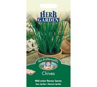 Mr Fothergills - Pictorial Packet - Herb - Chives - 750 Seeds