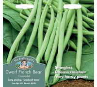 Mr Fothergills Mr. Fothergills Dwarf French Bean Castandel Seeds