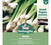 Mr Fothergills Mr. Fothergills Onion Seed Tape - (Spring) White Lisbon